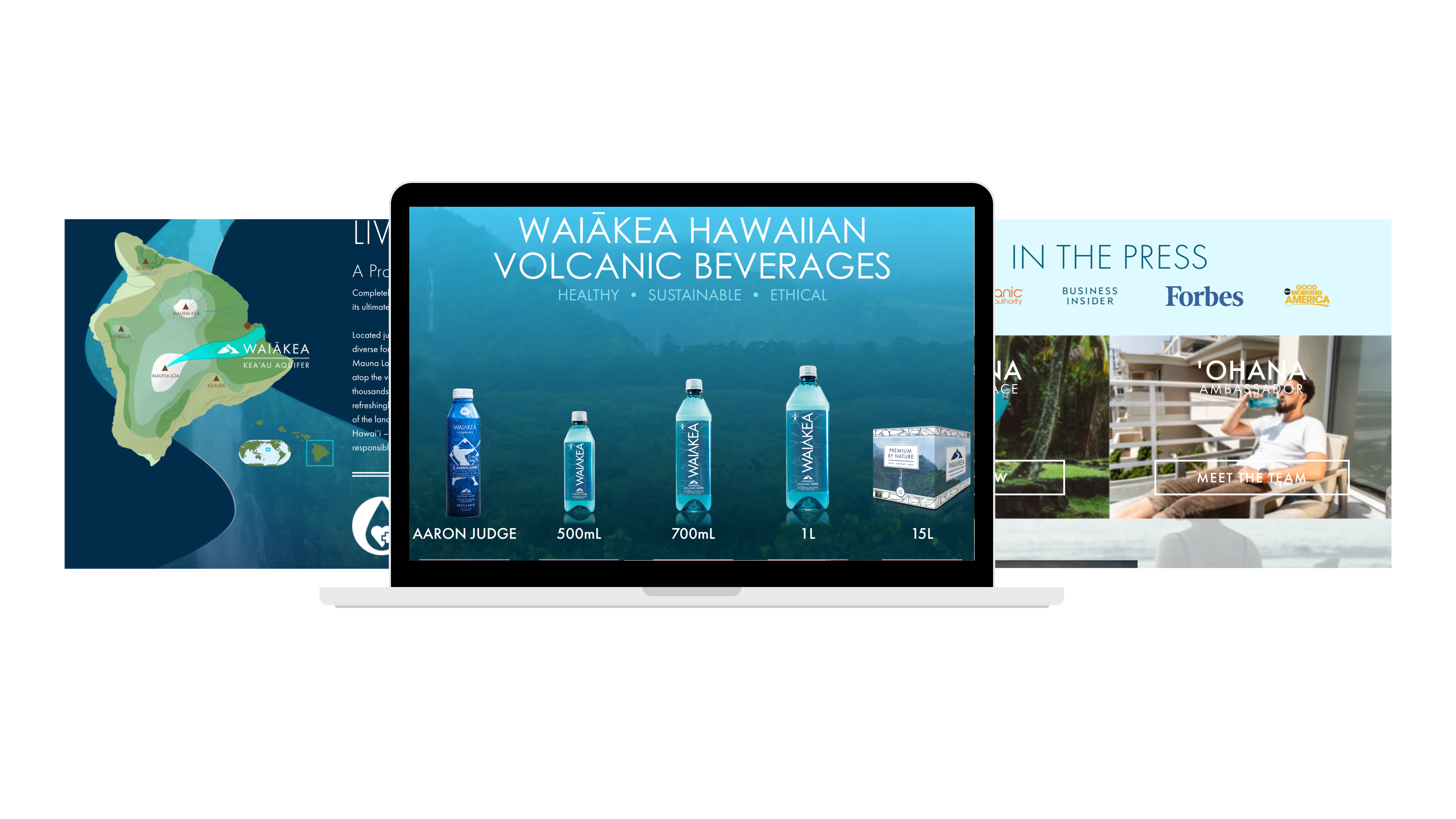 waikea-hawaiian-volcanic-beverages-case-study