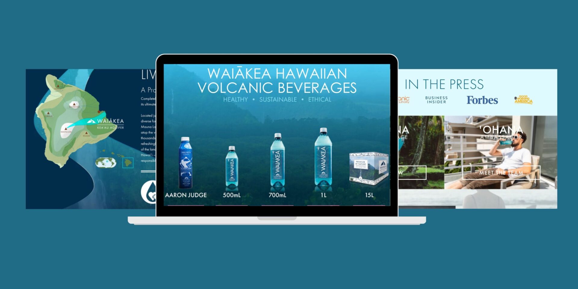 waikea-hawaiian-volcanic-beverages-case-study